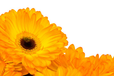 Similar image 577996