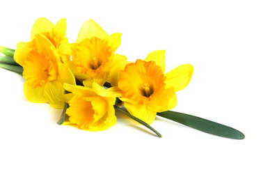 Similar image 578003