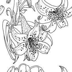 Similar image 578090