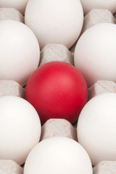 Similar image 578349