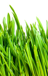 Similar image 578351