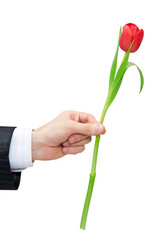 Similar image 578353