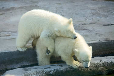 Similar image 578465