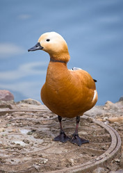 Similar image 578473