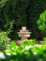 Similar image 578521