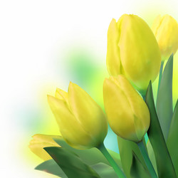 Similar image 578559