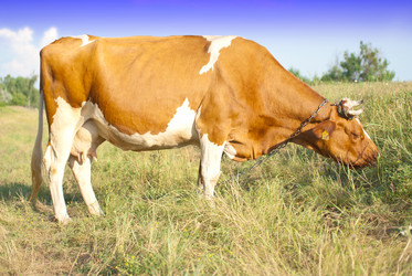 Similar image 578719