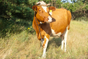 Similar image 578720