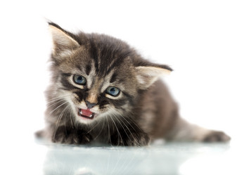 Similar image 578721