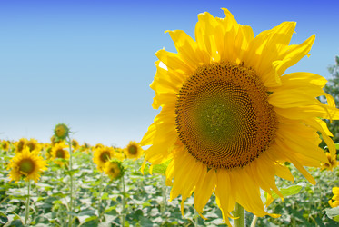 Similar image 578722