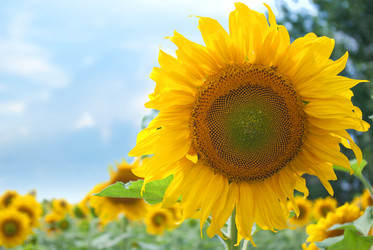 Similar image 578723