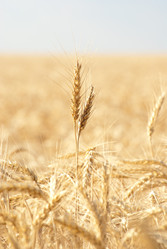 Similar image 578727