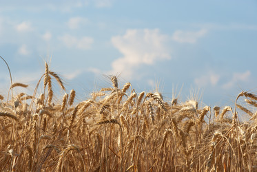 Similar image 578730