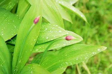 Similar image 578786