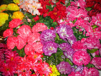 Similar image 578839