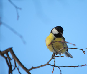 Similar image 578841