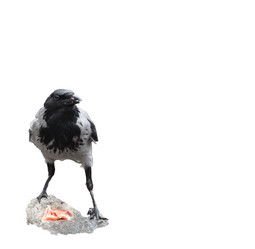 Similar image 578844