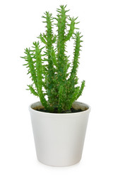 Similar image 578920