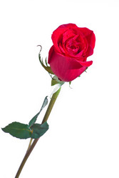 Similar image 579001