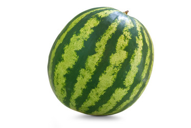 Similar image 579055