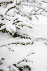 Similar image 579164