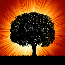 Similar image 579263