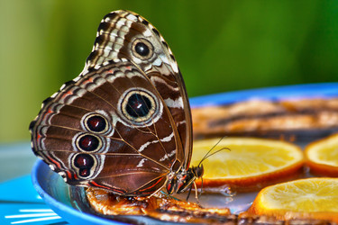 Similar image 579275