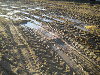 Similar image 579295