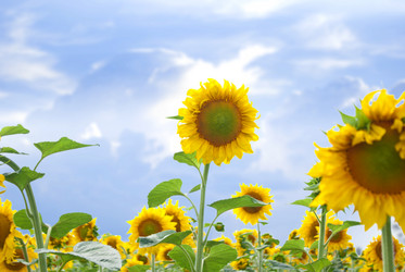 Similar image 579416