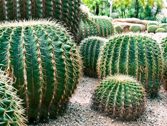 Similar image 579432