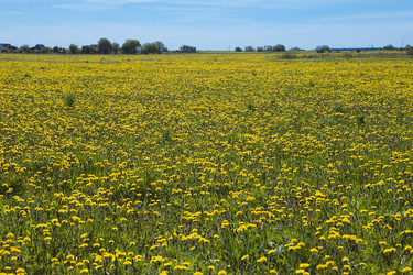 Similar image 579448