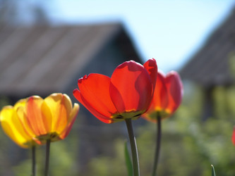 Similar image 579451