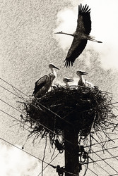 Similar image 579453