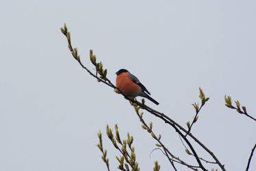 Similar image 579460