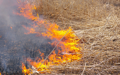 Similar image 579465