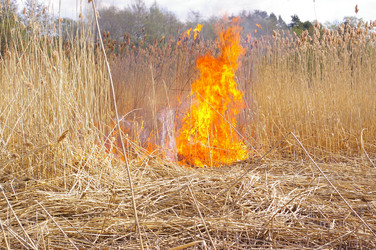 Similar image 579466