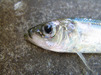 Similar image 579484