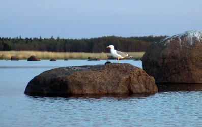 Similar image 579501