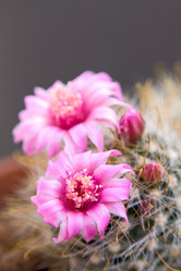 Similar image 579511