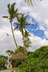 Similar image 579654