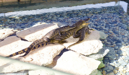 Similar image 579763