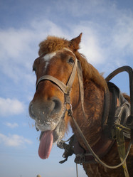 Similar image 579868