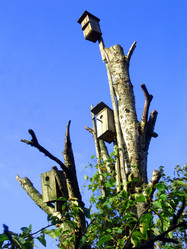 Similar image 579894