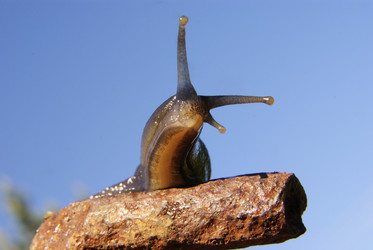 Similar image 579901