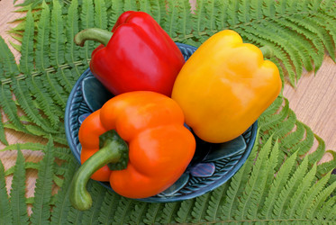 Similar image 579931