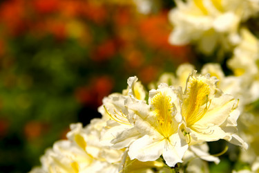 Similar image 579932