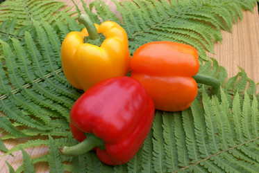 Similar image 579933