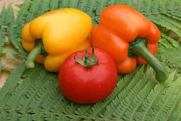 Similar image 579937