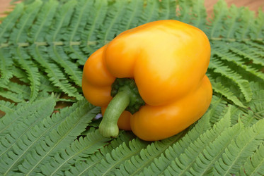 Similar image 579939