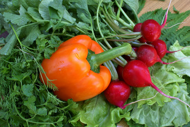 Similar image 579948